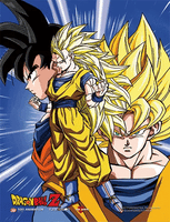 YA3D0041 Dragon Ball Z 3D Lenticular Wall Art Poster Framed